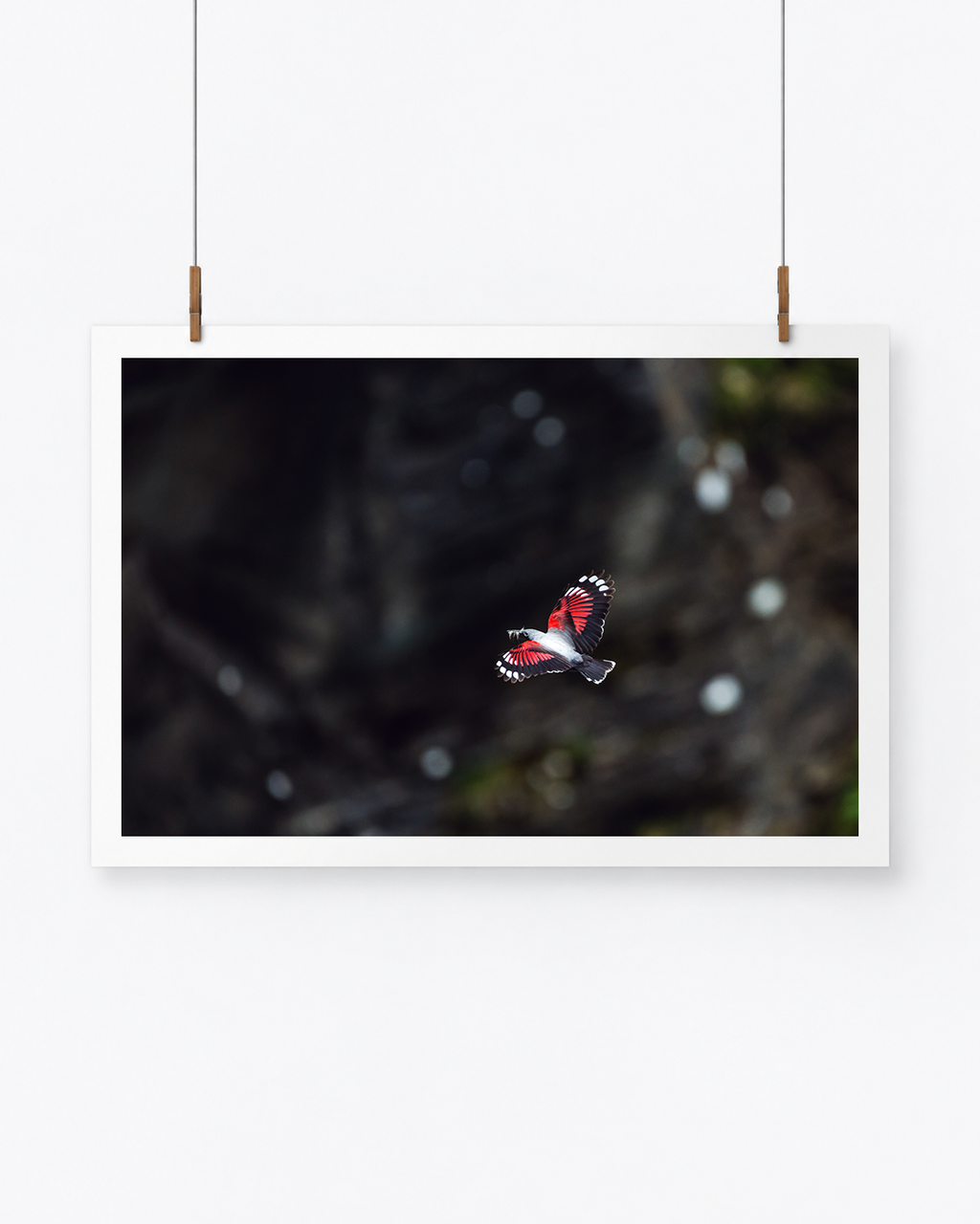 The Skydiver | Mauerläufer