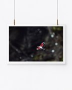 The Skydiver | Mauerläufer