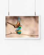 The Voyeur | Bienenfresser