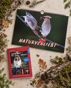 Geschenk Bundle Buch & Wandkalender