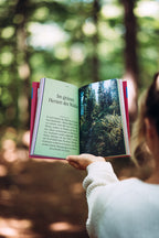 Geschenk Bundle Buch, Wand- & Tischkalender