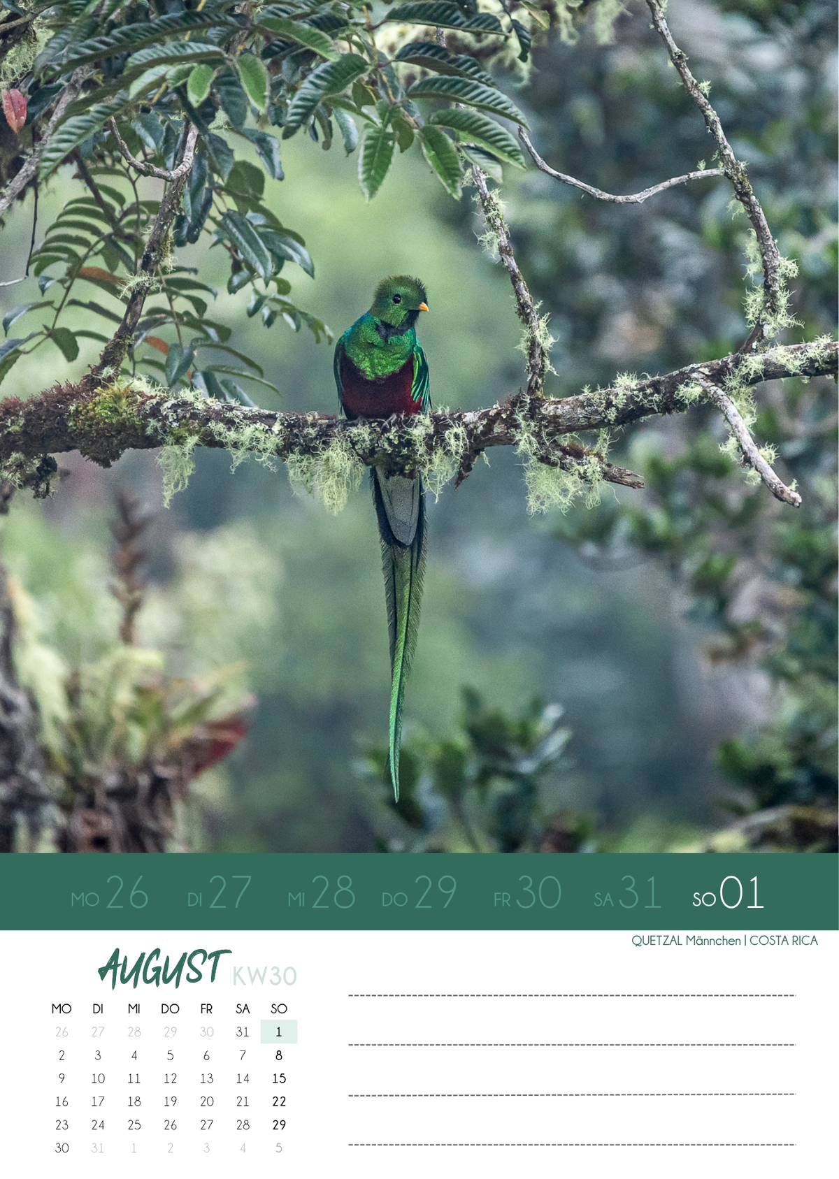 "NaturVerliebt 2027" - Wochenkalender