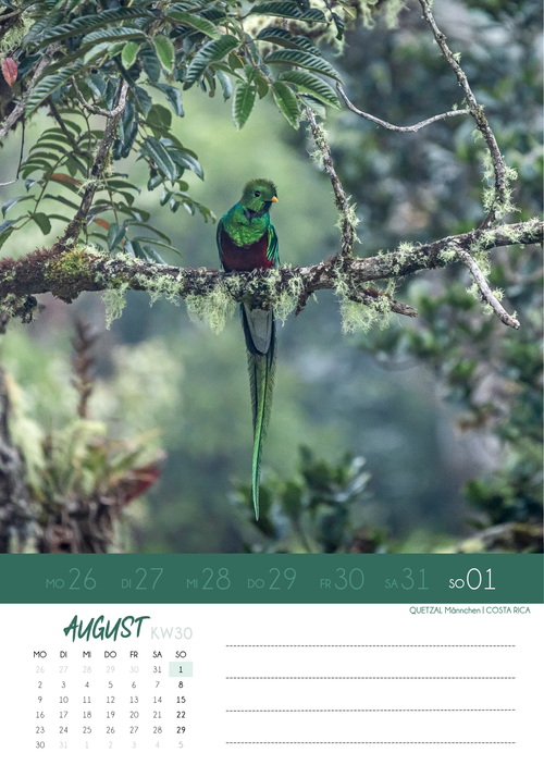 "NaturVerliebt 2027" - Wochenkalender