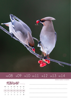 "NaturVerliebt 2027" - Wochenkalender