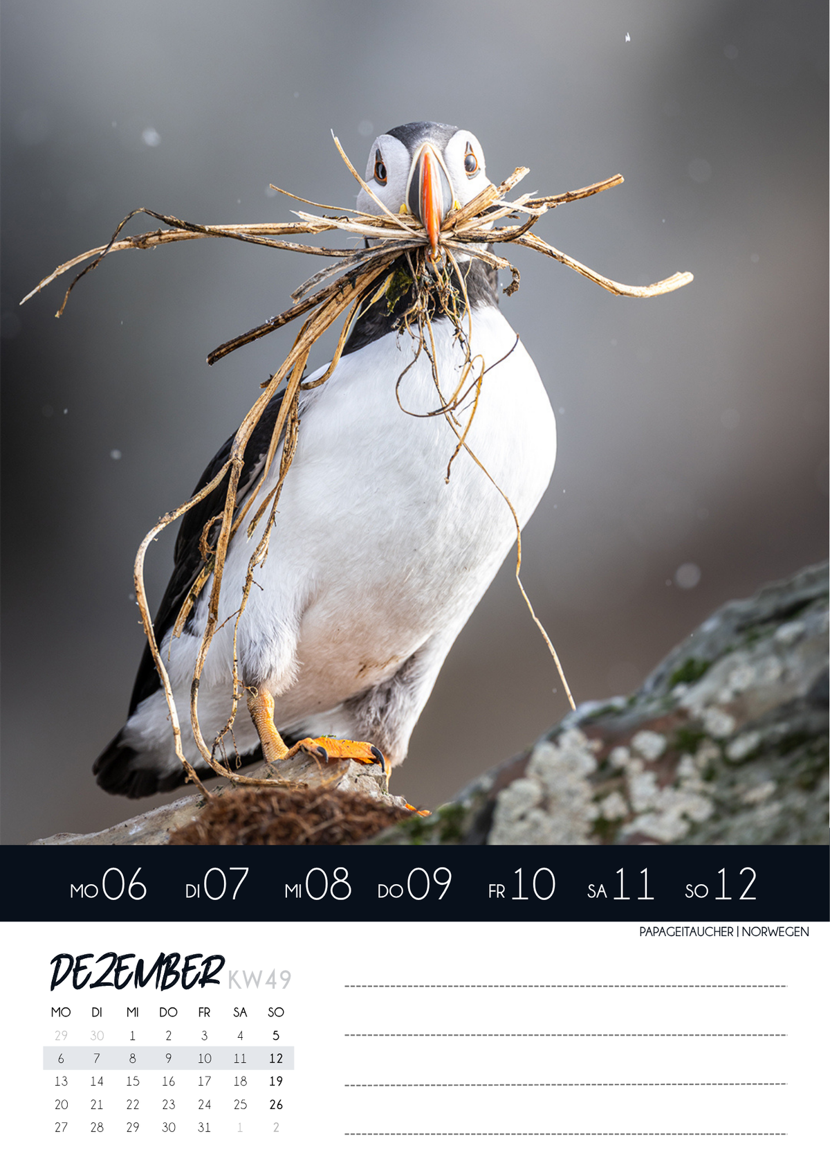 Geschenk Bundle Buch & Tischkalender
