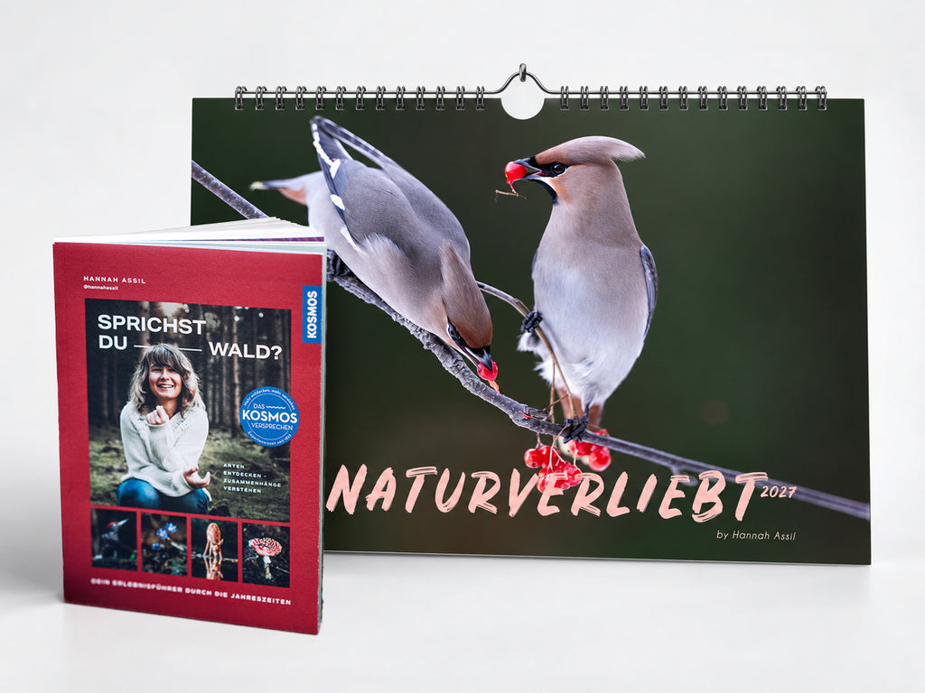 Geschenk Bundle Buch & Wandkalender