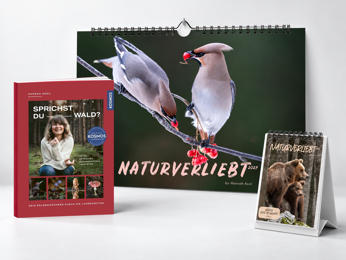 Geschenk Bundle Buch, Wand- & Tischkalender