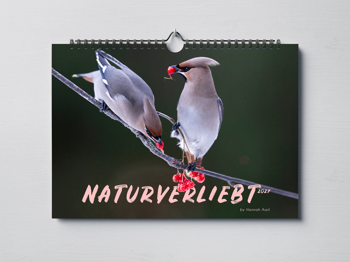 Geschenk Bundle Buch, Wand- & Tischkalender