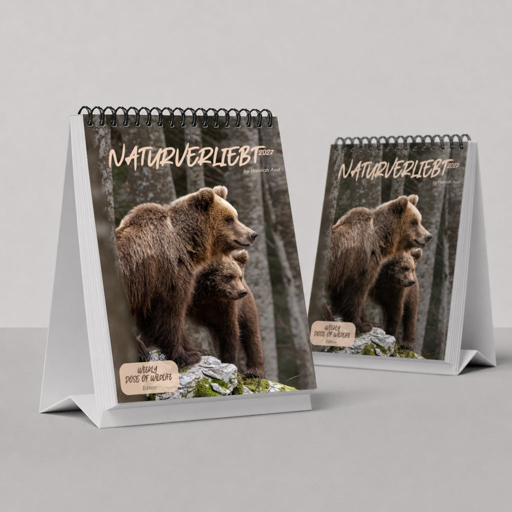Geschenk Bundle Buch, Wand- & Tischkalender